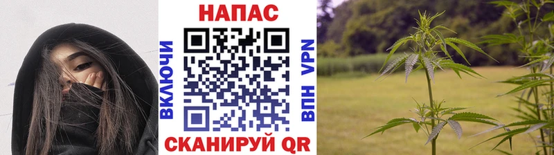 Купить Егорьевск Канабис Меф Псилоцибиновые грибы ГАШ Alpha PVP