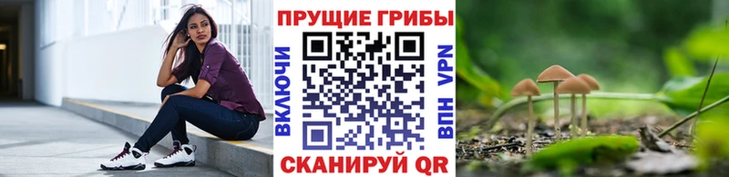 Галлюциногенные грибы мухоморы где купить наркоту Егорьевск