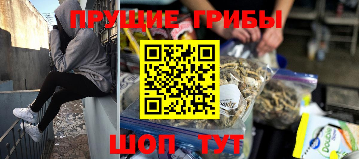 купить   Вход с VPN  Егорьевск  Псилоцибиновые грибы Cubensis 